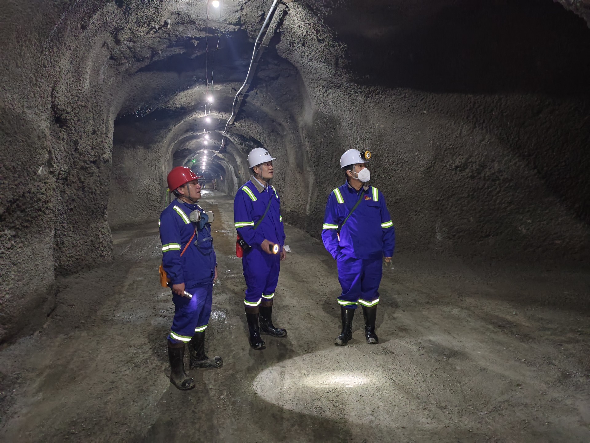 1687152783386654.jpg 封面.jpg